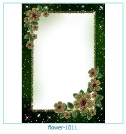 floare rama foto 1011