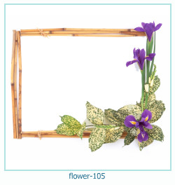 floare rama foto 105