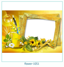 floare rama foto 1051