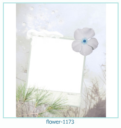 floare rama foto 1173