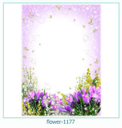 floare rama foto 1177