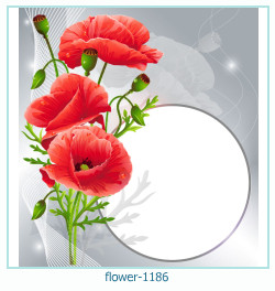 floare rama foto 1186