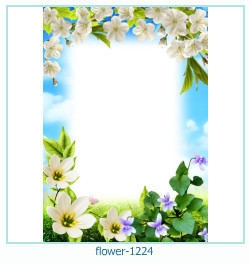 floare rama foto 1224