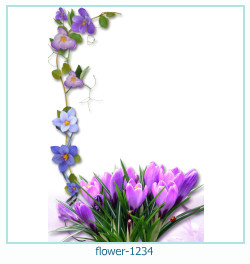 floare rama foto 1234