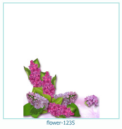 floare rama foto 1235