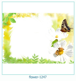 floare rama foto 1247