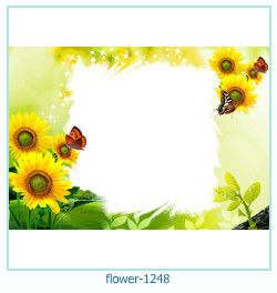 floare rama foto 1248