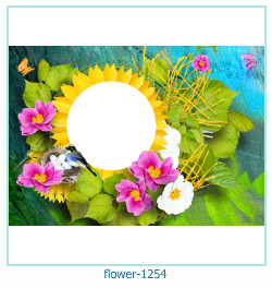 floare rama foto 1254