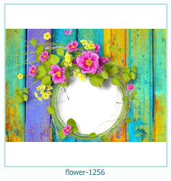 floare rama foto 1256