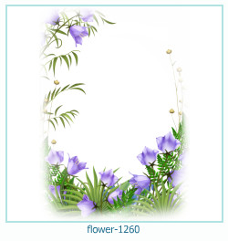 floare rama foto 1260