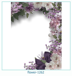 floare rama foto 1262