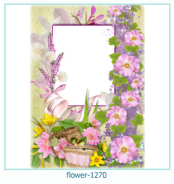 floare rama foto 1270