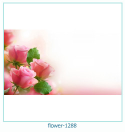 floare rama foto 1288