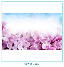 floare rama foto 1289