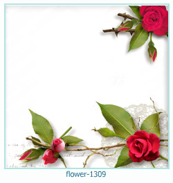 floare rama foto 1309