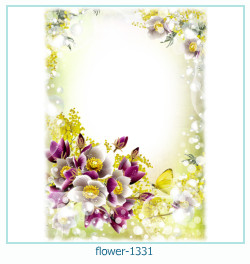 floare rama foto 1331