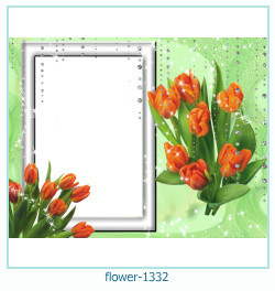 floare rama foto 1332
