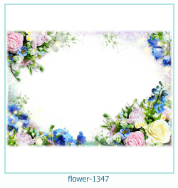 floare rama foto 1347