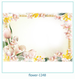 floare rama foto 1348