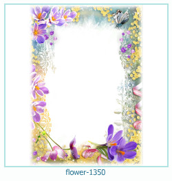 floare rama foto 1350