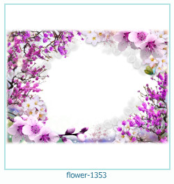 floare rama foto 1353
