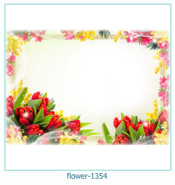 floare rama foto 1354