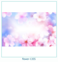 floare rama foto 1355
