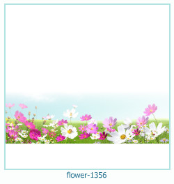 floare rama foto 1356