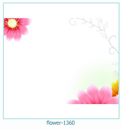 floare rama foto 1360