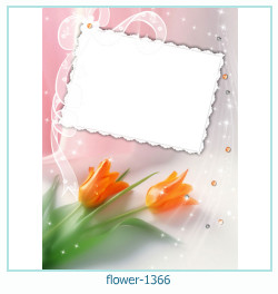 floare rama foto 1366