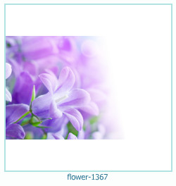 floare rama foto 1367