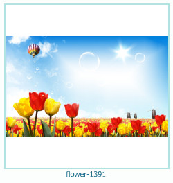 flower Photo frame 1391