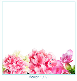 floare rama foto 1395