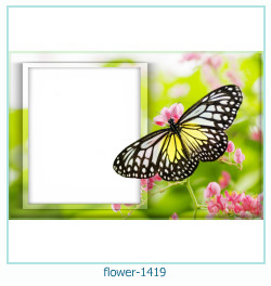 floare rama foto 1419