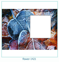 floare rama foto 1421