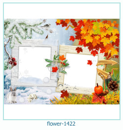 floare rama foto 1422