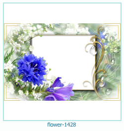 floare rama foto 1428