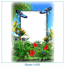 floare rama foto 1429