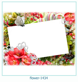 floare rama foto 1434