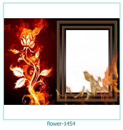 floare rama foto 1454