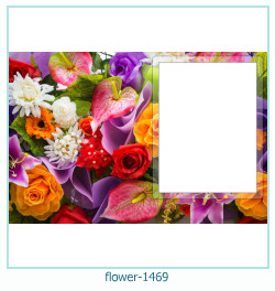 floare rama foto 1469