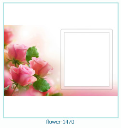floare rama foto 1470