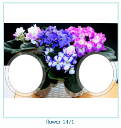 floare rama foto 1471
