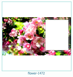 floare rama foto 1472