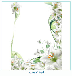 floare rama foto 1484