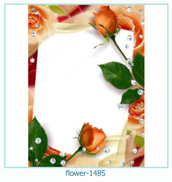floare rama foto 1485