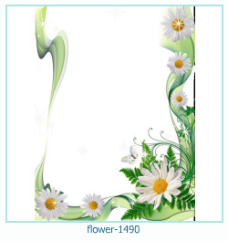 floare rama foto 1490