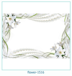 floare rama foto 1516