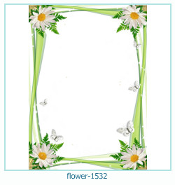 floare rama foto 1532