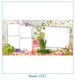 floare rama foto 1537